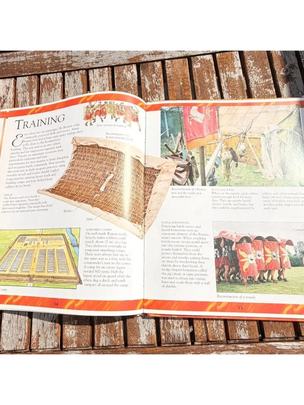 Warfare in the Ancient World Egypt Greece Rome Mark Bergin Homeschool History